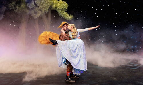 Cinderella_Das_Musical_Bild_05_Credit_Michael_Böhmländer.jpg
