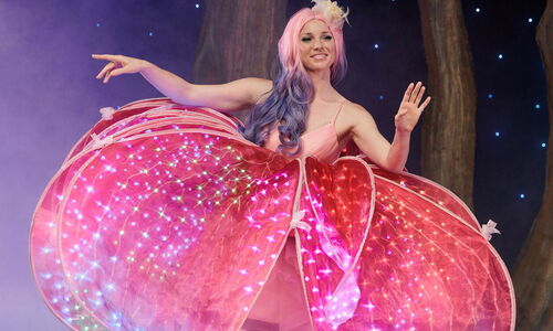 Cinderella_Das_Musical_Bild_06_Credit_Michael_Böhmländer.jpg