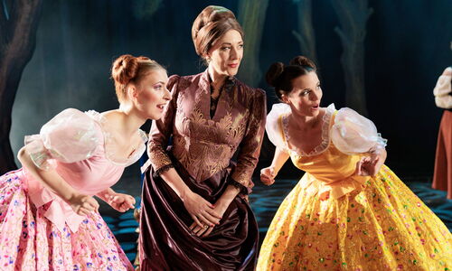 Cinderella_Das_Musical_Bild_07_Credit_Michael_Böhmländer.jpg