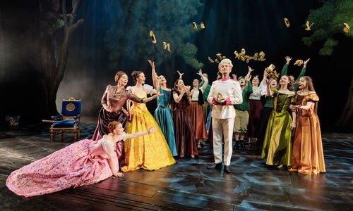 Cinderella_Das_Musical_Bild_02_Credit_Michael_Böhmländer.jpg