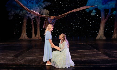 Cinderella_Das_Musical_Bild_08_Credit_Michael_Böhmländer.jpg